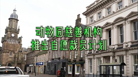 动物园慈善机构推出自愿裁员计划