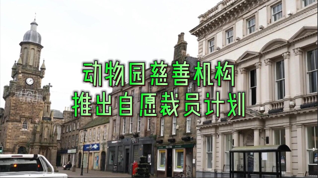 动物园慈善机构推出自愿裁员计划