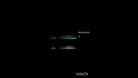 science quiz for children