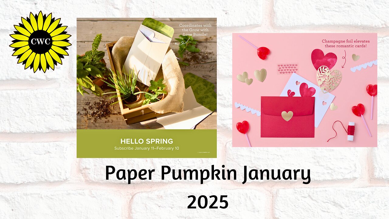 January 2025 Paper Pumpkin Kit!!