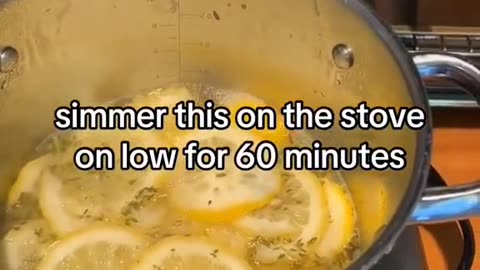 All natural flea spray recipe, safe and effective for dogs and cats.