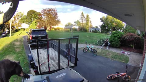 Kids Have Close Encounter With Bear in the Drive Way