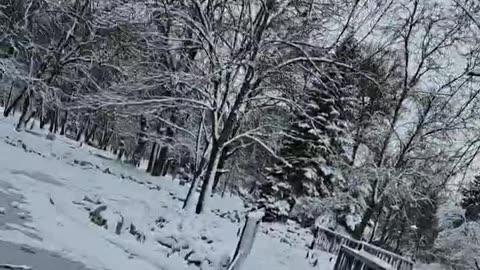 Raw Reality | Live Session