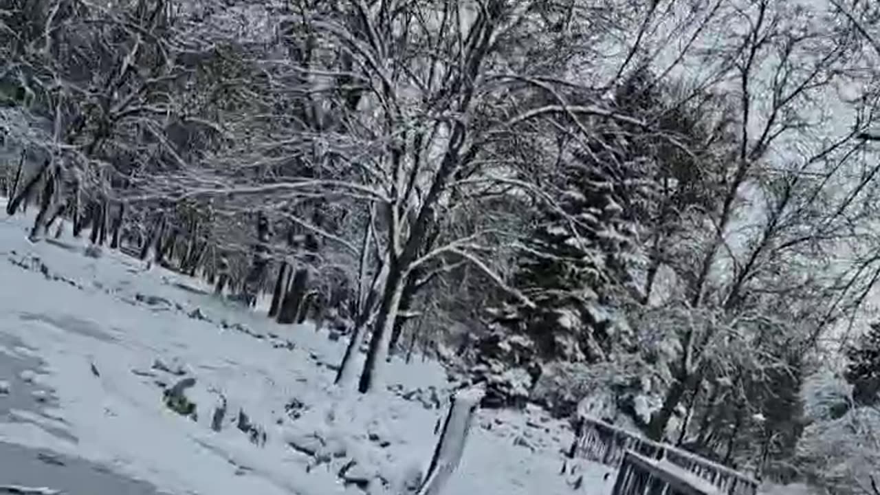 Raw Reality | Live Session