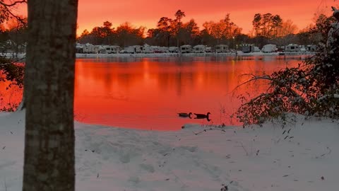 Snowy Sunset Over Red Louisiana Pond