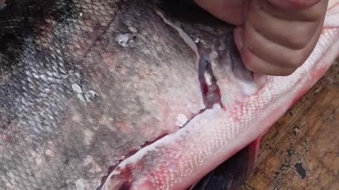 赫哲族的鱼皮衣历史久远，早在两千多年前，赫哲族的先民就已使用鱼皮做衣服。