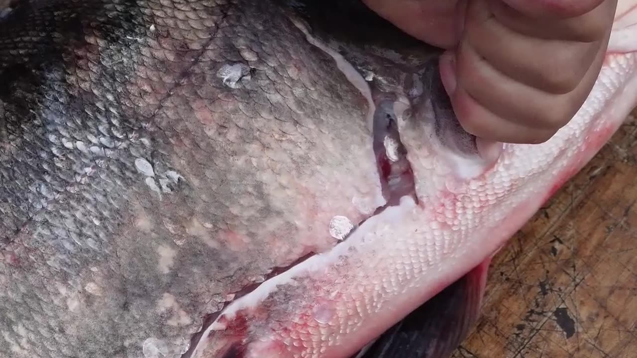 赫哲族的鱼皮衣历史久远,早在两千多年前,赫哲族的先民就已使用鱼皮做衣服。