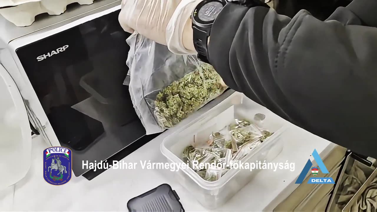 Niggerek árulják a drogot a "migránsmentes országban"