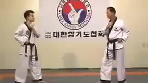 Hapkido