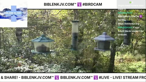 BIBLENKJV.COM™ 🛐 10/25/2025 #LIVE #BIRDCAM #WEATHER