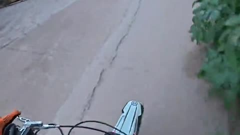 Crazy dog vs man