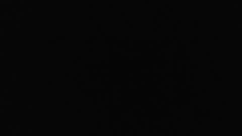 29 May 2025 (1)