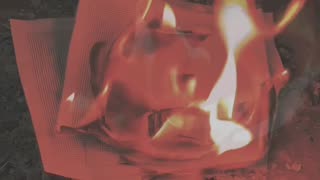 Tim Rifat TikTok Videos