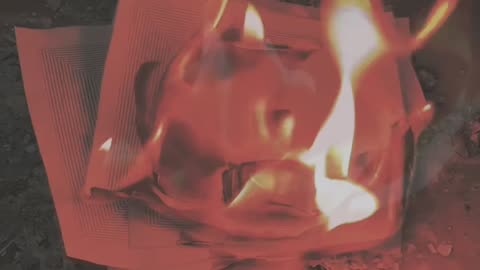 Tim Rifat TikTok Videos