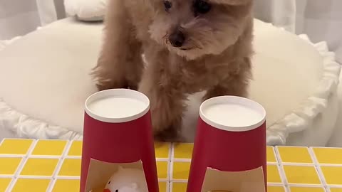 Cute 🥰