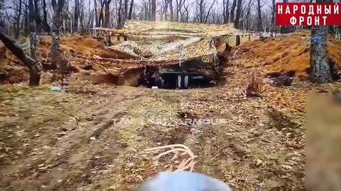 Sneaking Under the Canopy