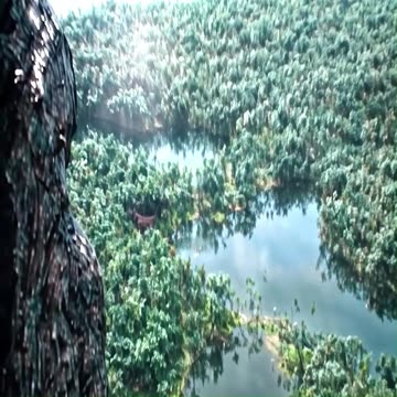 Godzilla Violently Splits Titanoboa