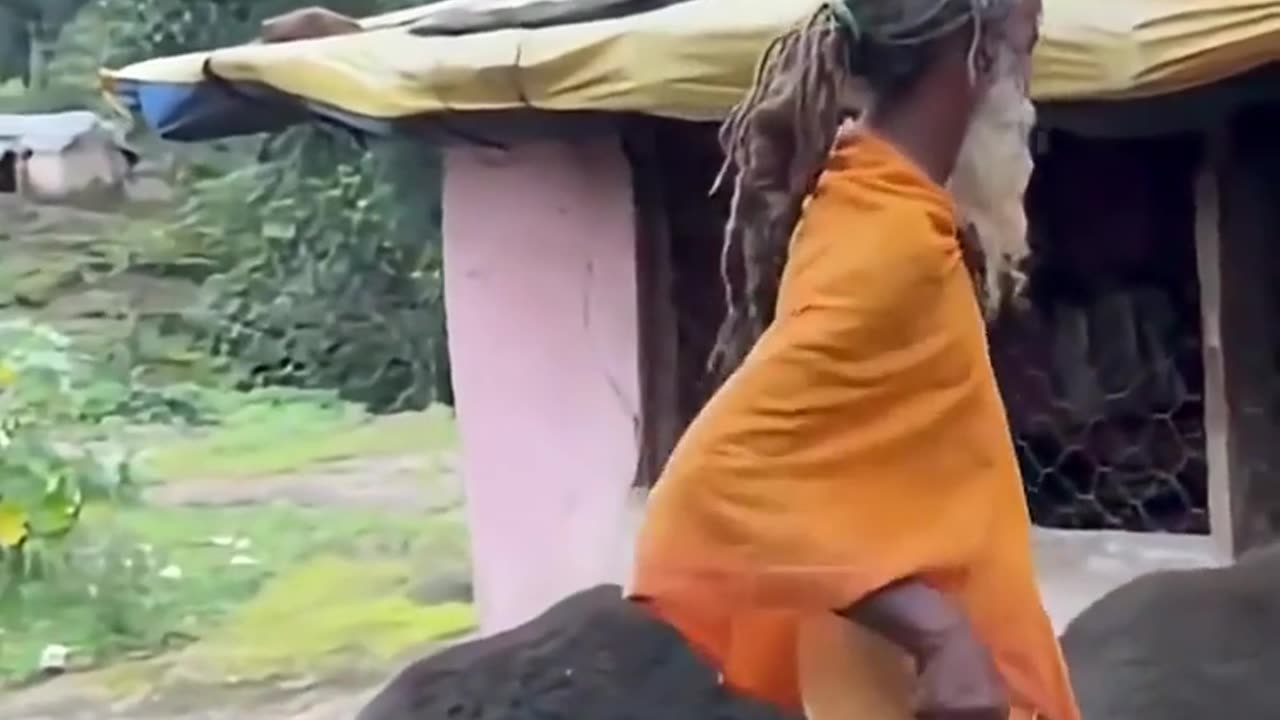 🤯✨ You Won't Believe How This Priest Befriends Wild Bears! | FeedMyCuriosity