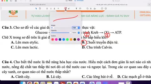 "SINH BUỔI 21 : LUYỆN ĐỀ "