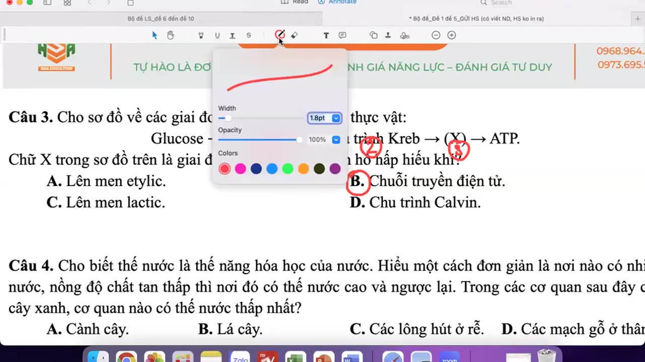 "SINH BUỔI 21 : LUYỆN ĐỀ "