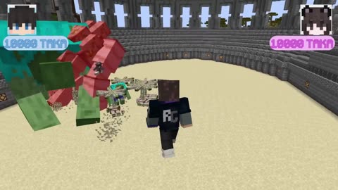 Sahir vs Iranaa for 50,000 TAKA 😯 Minecraft Mob Battle (Surjo Bhai Edition)