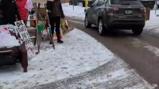 Anti ICE road stops , running license plate checks, database