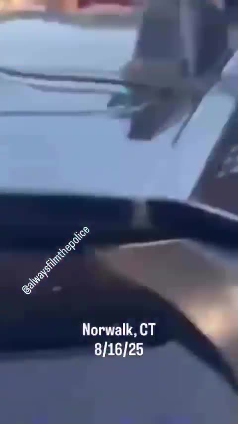 ICYMI: An illegal alien attempted to flee from a federal agent when little miss taser