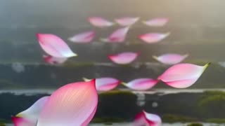 Find Your Center: Mastering Inner Peace in the Mind-Body-Spirit Marketplace