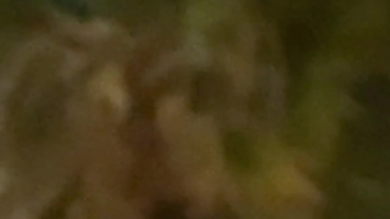 🛸😱 What Is This Mysterious Object in Mexico?! | TheTruthAbove