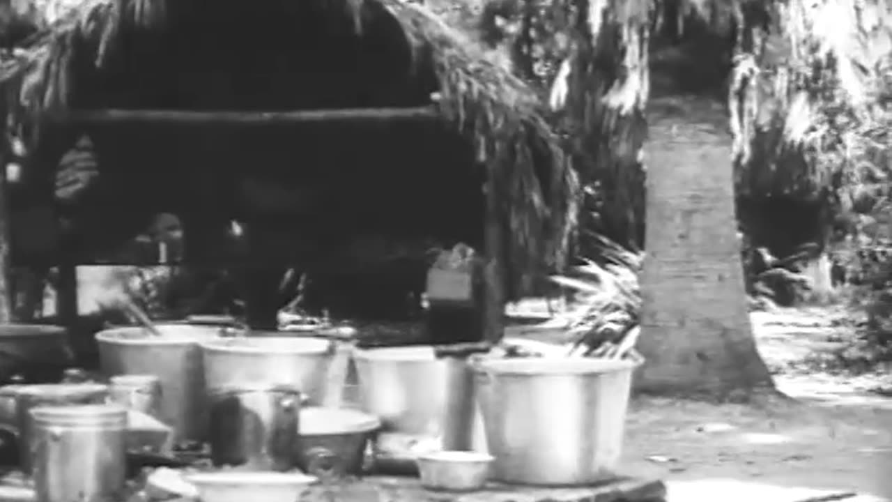 Into the Big Cyprus... - Into the Big Cyprus Seminole Indians of Florida Water Supply - fc-fc-235a-c