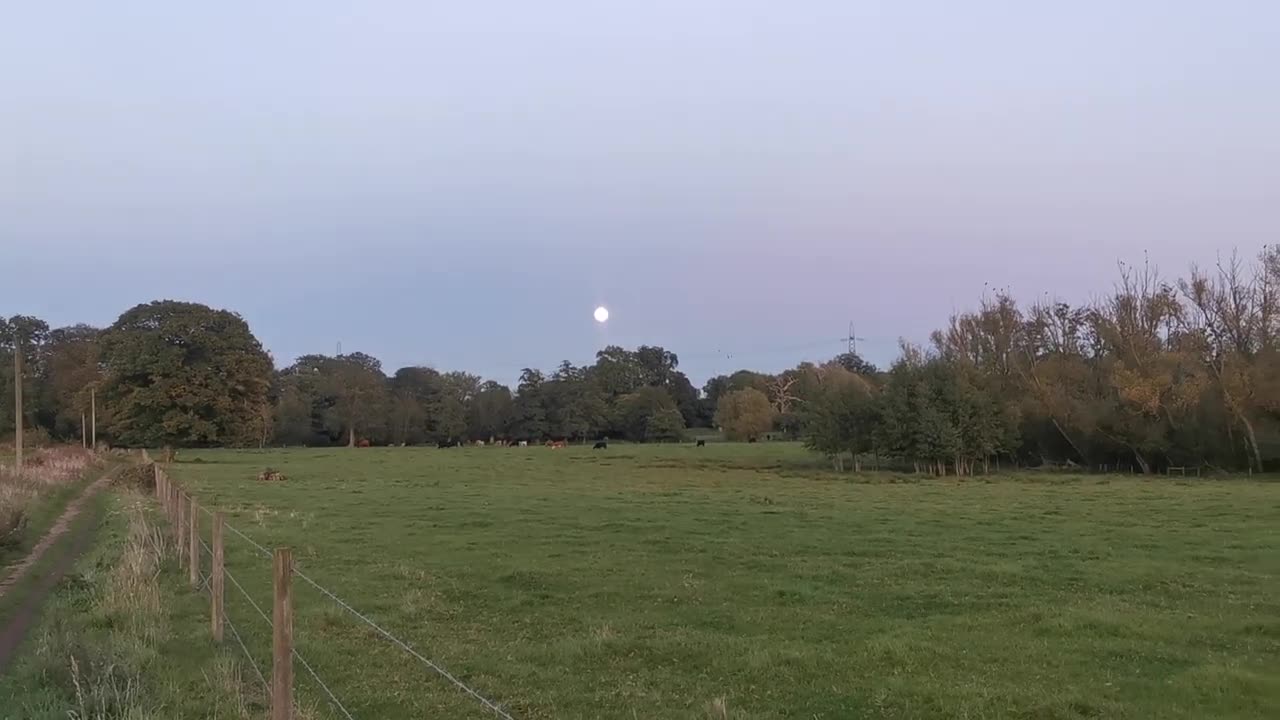 The Great Train Stoppers Incident