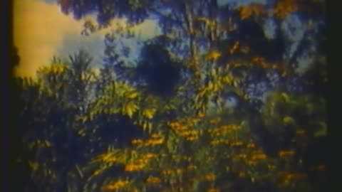 A TRAVELER VISITS SOUTH... - A TRAVELER VISITS SOUTH AMERICAN CHILDREN; PART 4 BRAZIL'S C - h-hf-223