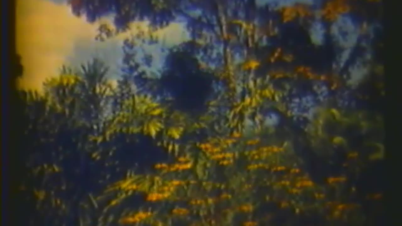 A TRAVELER VISITS SOUTH... - A TRAVELER VISITS SOUTH AMERICAN CHILDREN; PART 4 BRAZIL'S C - h-hf-223