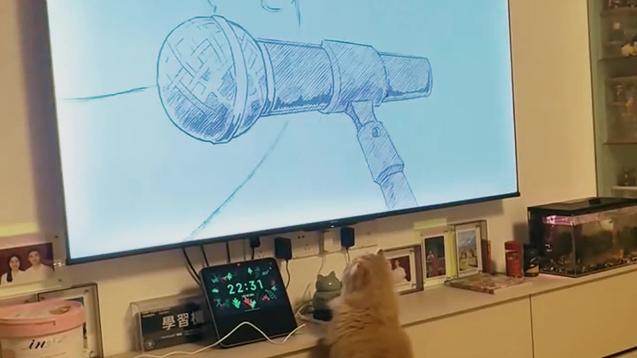 The cat is holding a concert.