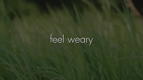 🙏✨ Daily Blessings | Embrace God's Grace & Mercy | InGodWeTrustDaily