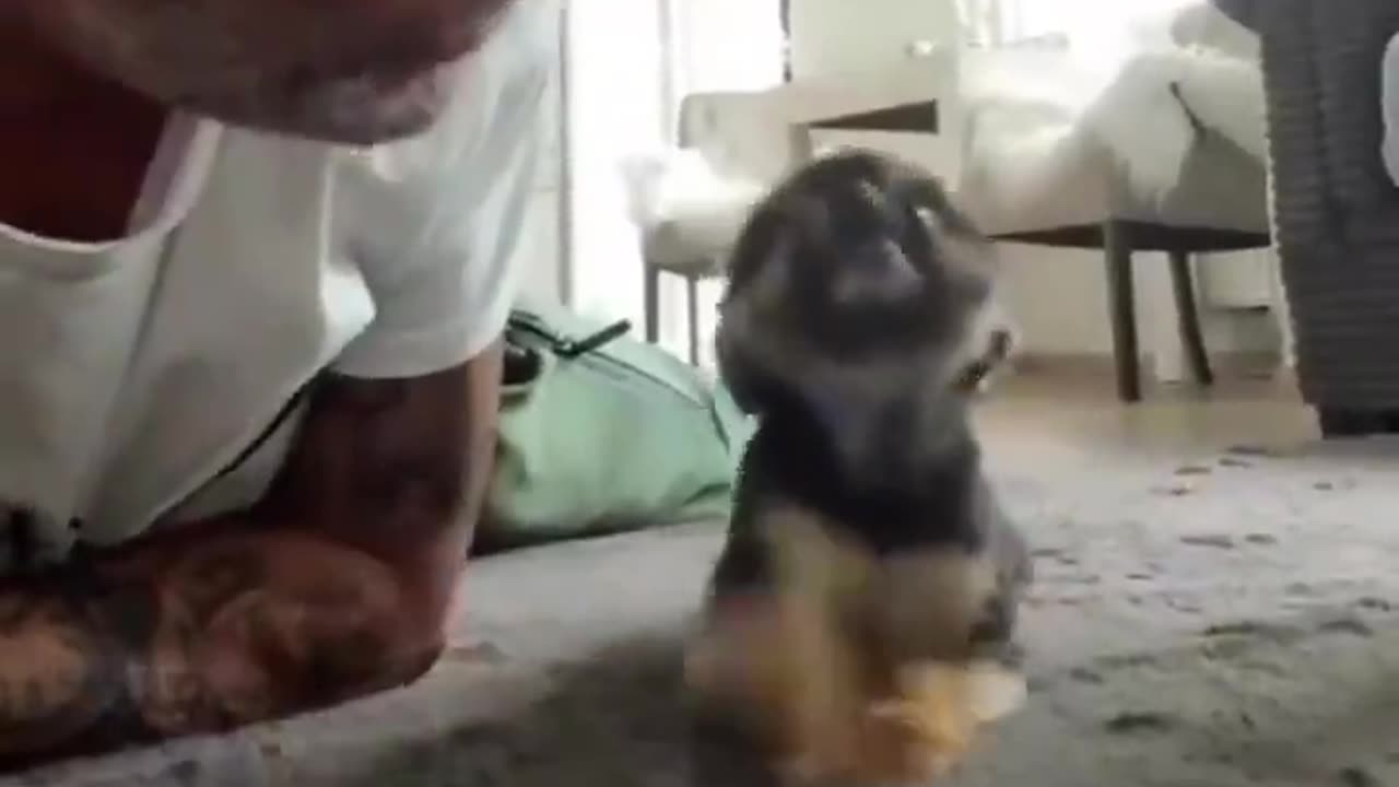 Sneaking in for kisses..