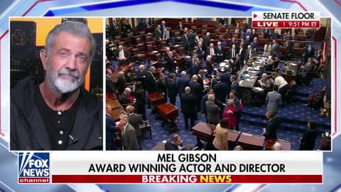 'READY, WILLING, ABLE': Mel Gibson on 'Ambassador to Hollywood' appointment