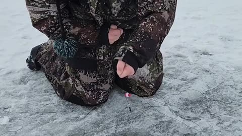 Ice Fishing Son Catches Pike Like A Pro