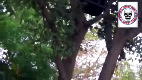 Real Ghost Caught on Camera in a National Park #Ghost #Scary #Horror #Devil