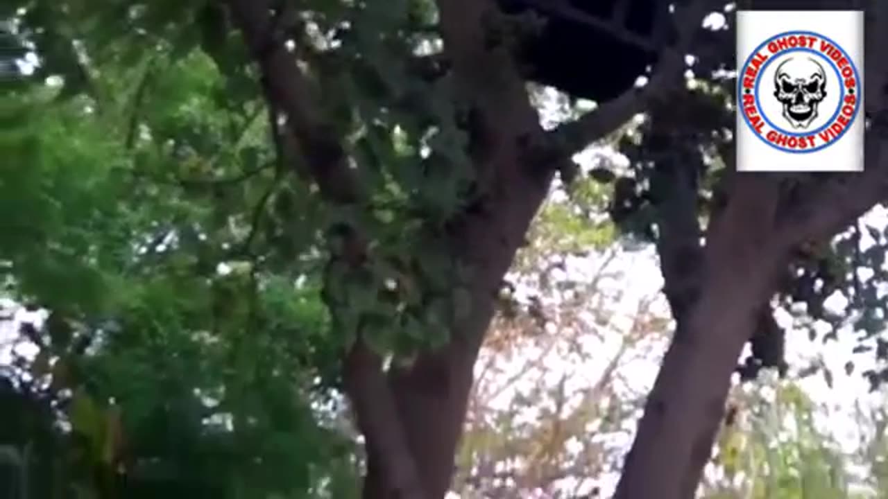 Real Ghost Caught on Camera in a National Park #Ghost #Scary #Horror #Devil