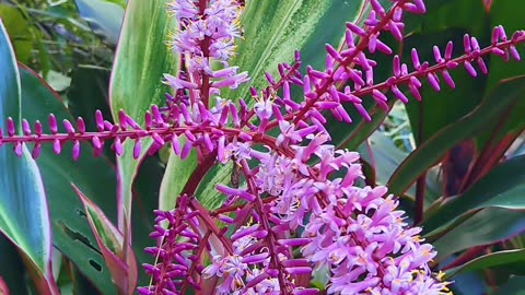 Our natural world 🌎