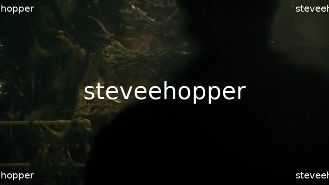 Stranger Things_S01E05_Chapter Five - The Flea and the Acrobat