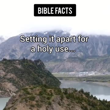 Commemoration | P5 | The Astonishing Details of Creation Unveiled!