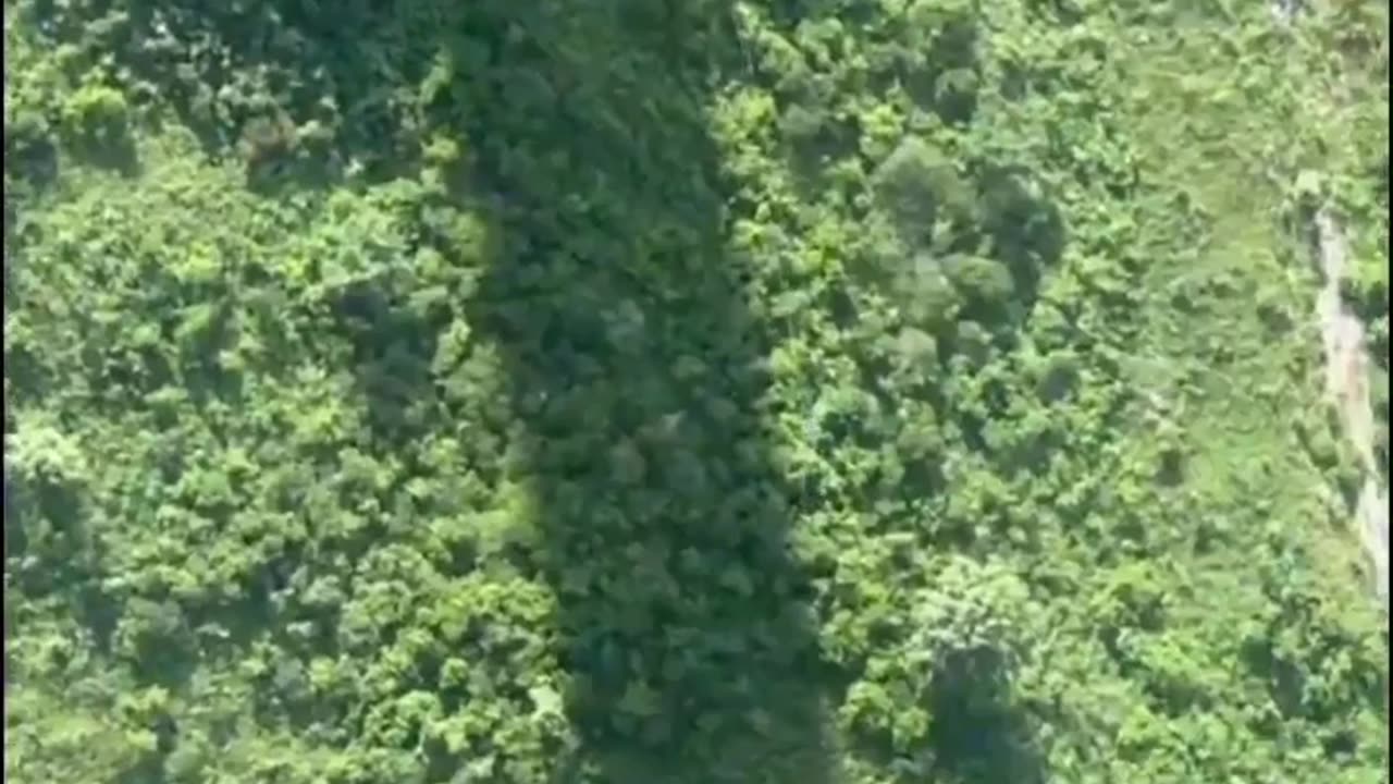 🤯🌉 You Won't Believe This Bungee Jump From The Highest Bridge! | FeedMyCuriosity