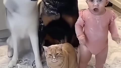 Who made this mess 🤣