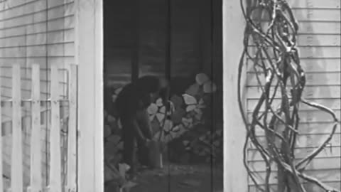 Henry Ford On Self-Rake Reaper - Henry Ford On Self-Rake Reaper - fc-fc-2513