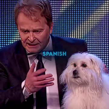 They Blow Everyone's Mind!! 😲👌🏻🤣