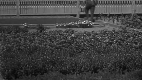 A Visit with Luther Bur... - A Visit with Luther Burbank The Lumber Industry California S - fc-fc-20