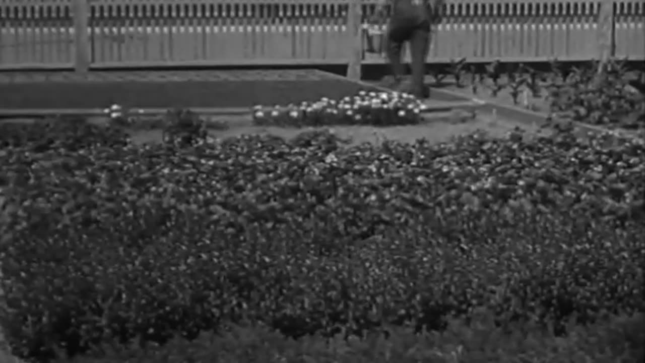 A Visit with Luther Bur... - A Visit with Luther Burbank The Lumber Industry California S - fc-fc-20