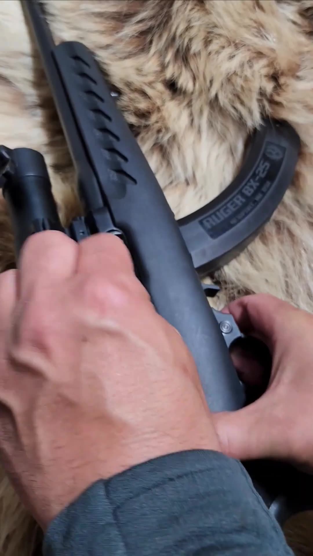 Ruger 10_22 Backpacker Rifle